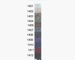 colour swatch